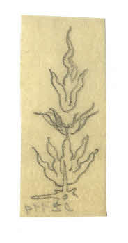 Visualizza l'immagine "FD D 2114"